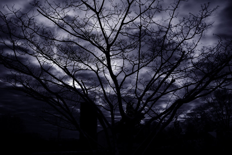 mysky