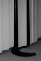 ' . substr('//images.dpchallenge.com/images_portfolio/85000-89999/88878/120/643534.jpg', strrpos('//images.dpchallenge.com/images_portfolio/85000-89999/88878/120/643534.jpg', '/') + 1) . '