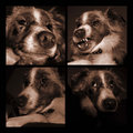 Day_6_Faces of Lucy