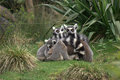 Maybe they don't see us!!