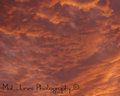 "Sky on Fire"
