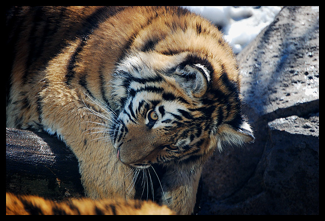 Deep in Thought