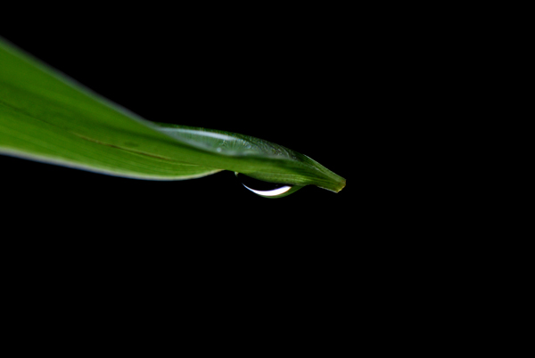 Under-Side
