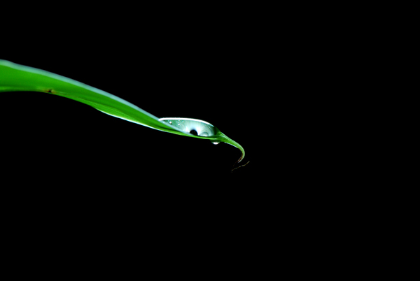 Light-In-The-Water