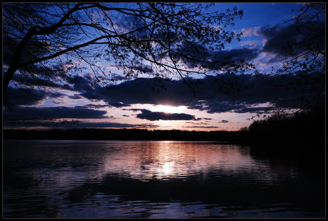 Pink, Sunset