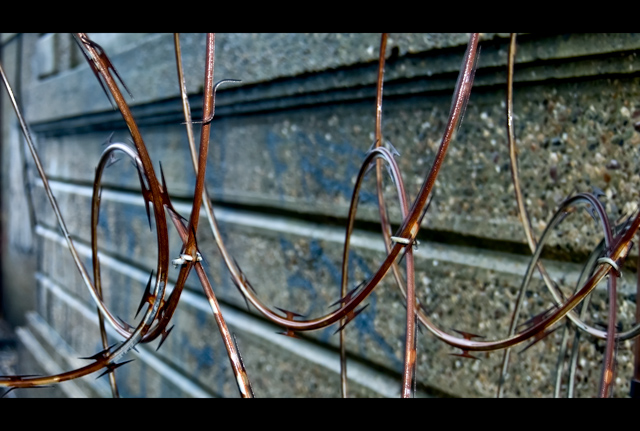 Twisted-#1.jpg