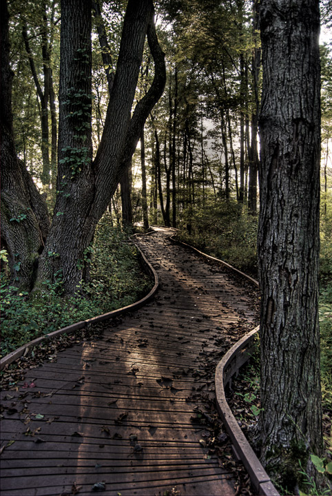 walkway2.jpg
