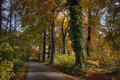 Fall Path