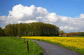 Spring Fields