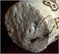 Chianti Wine Cork