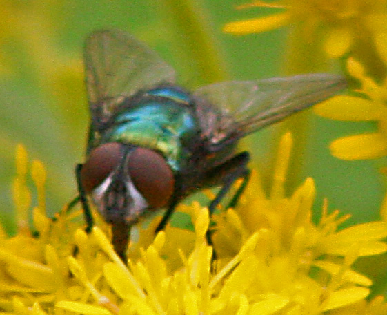 IMG_9877.jpg