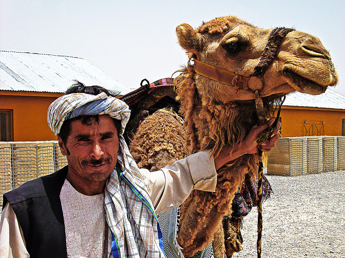 Desert Power II