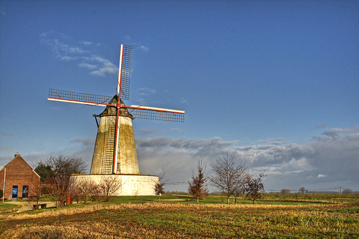 Le Blanc Moulin, Ostiches