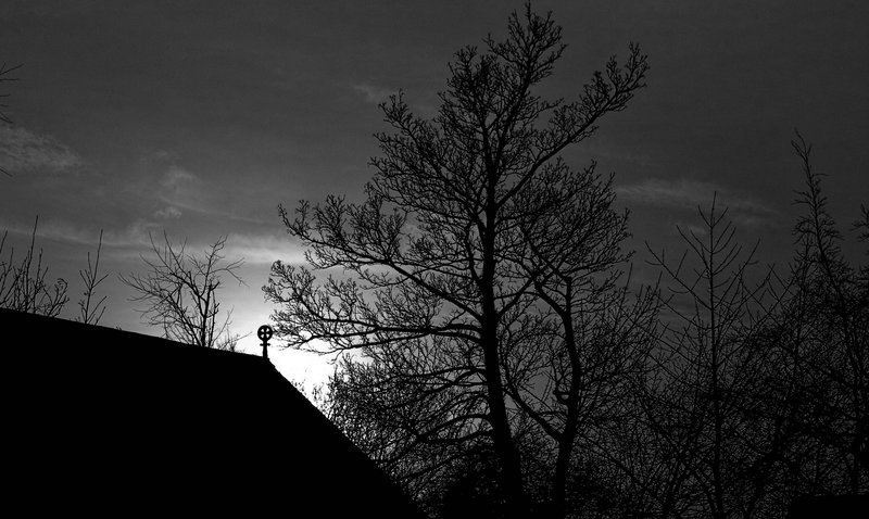 Sillouette