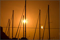 Day 29: Masts at Sunset