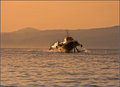 Hydrofoil to Hydra