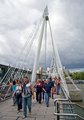 _MG_8486mfb.jpg