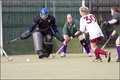 IMG_2092dpc.jpg