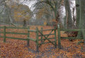 #20 - Autumn