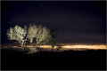#21 - In the Night