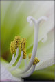 IMG_5602-5603-comp.jpg