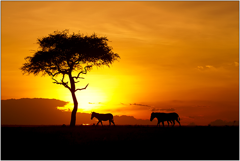 Kenya sunset