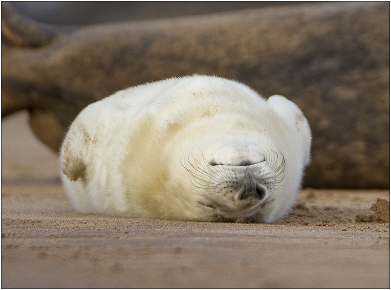 Sleepin'