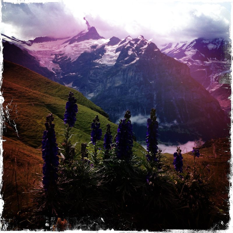 Switzerland