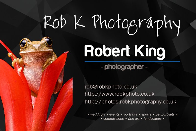 bean business card
