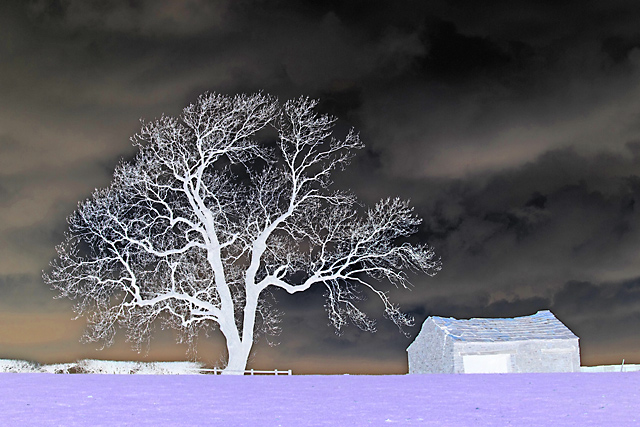 IMG_1138-invert-comp.jpg