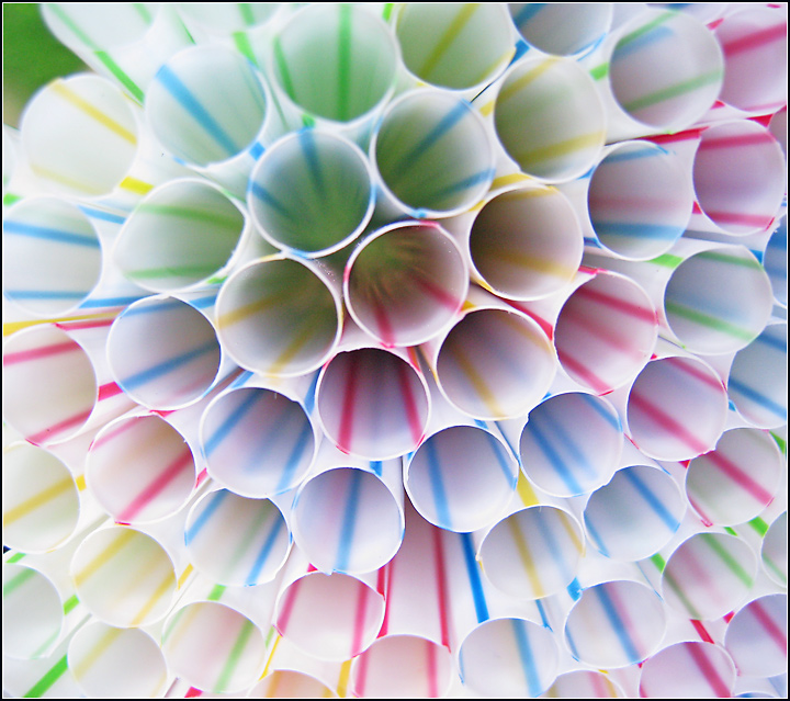 Day 9: The Final Straw
