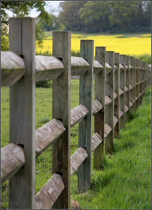 Day 10: Fence to the Yellow Field