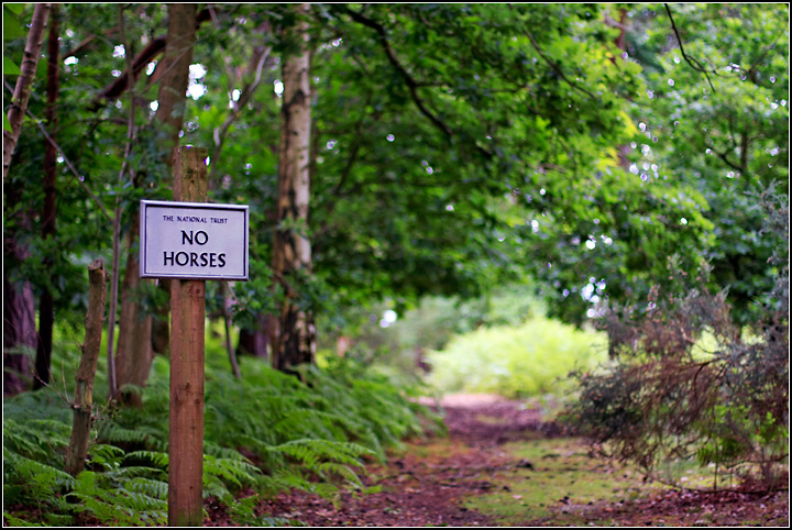 Day 12: No Horses