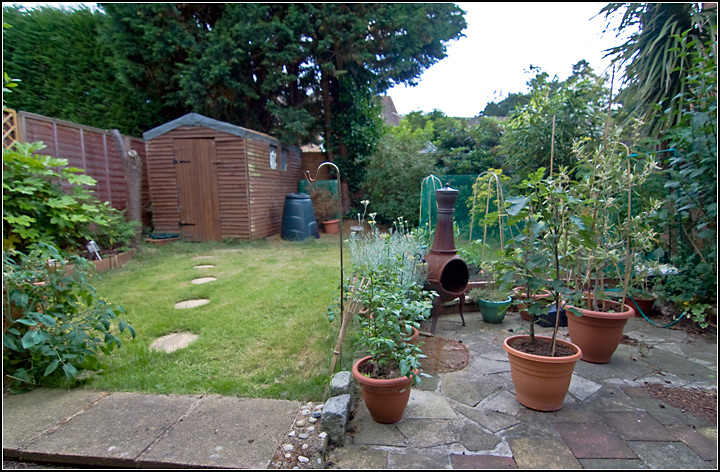 My Garden 1