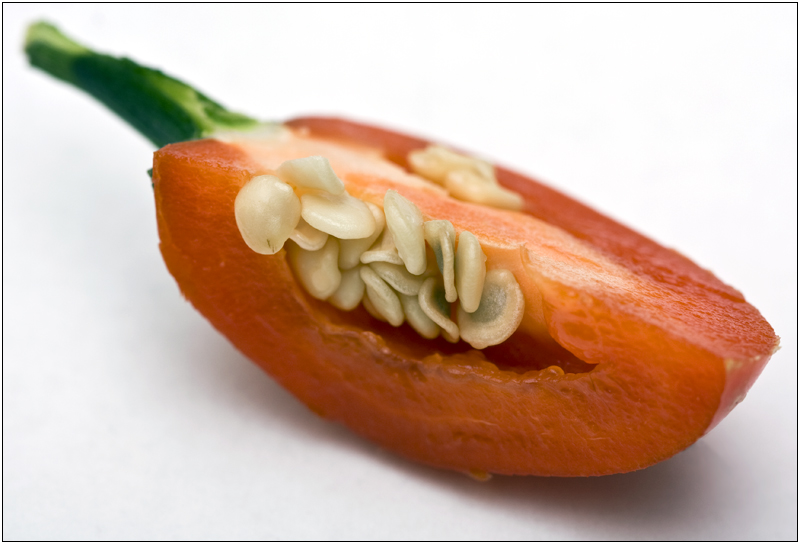 Jalapeño