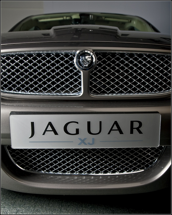 #8 - XJ