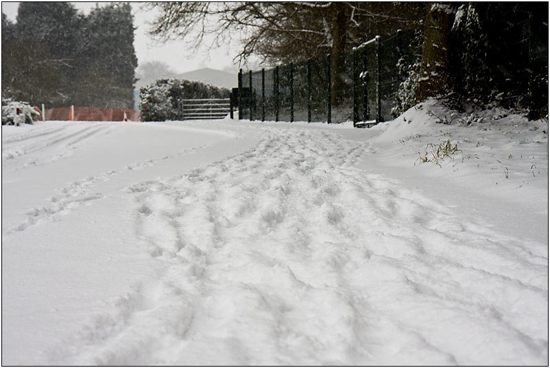 Tracks