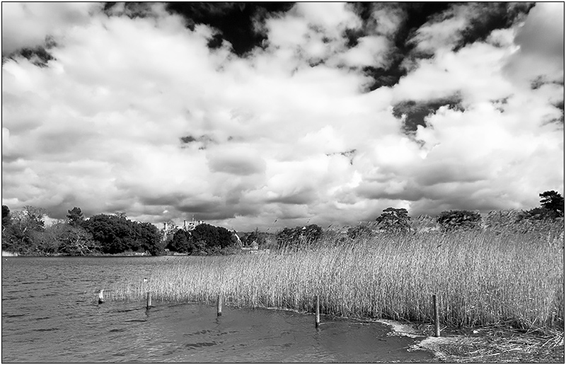 Across the Lake