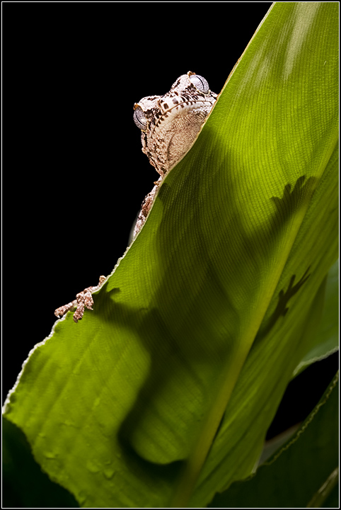 _MG_8958-comp.jpg