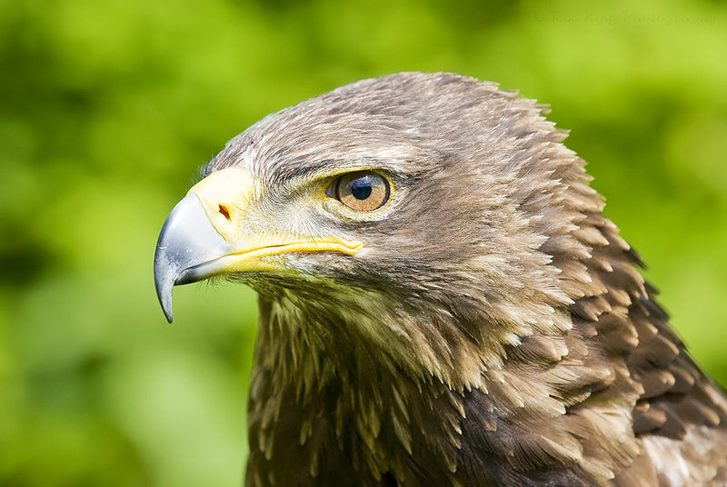 liberty_1066_mg_0831m.jpg
