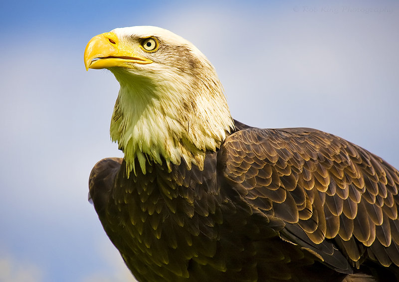 liberty_1216_mg_9772m.jpg