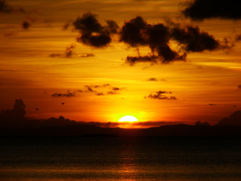 Flyby at Sunset