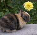 Easter anyone?.JPG
