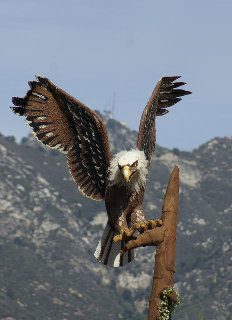 taking flight.jpg