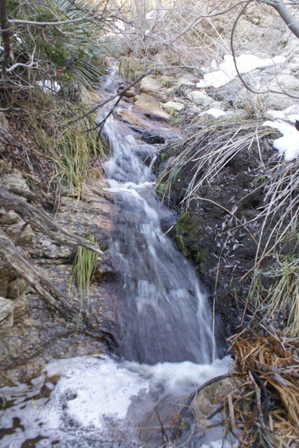 trinking creek.jpg