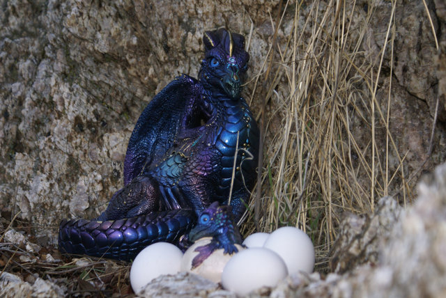 hatchlings.jpg