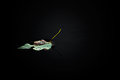 Floating