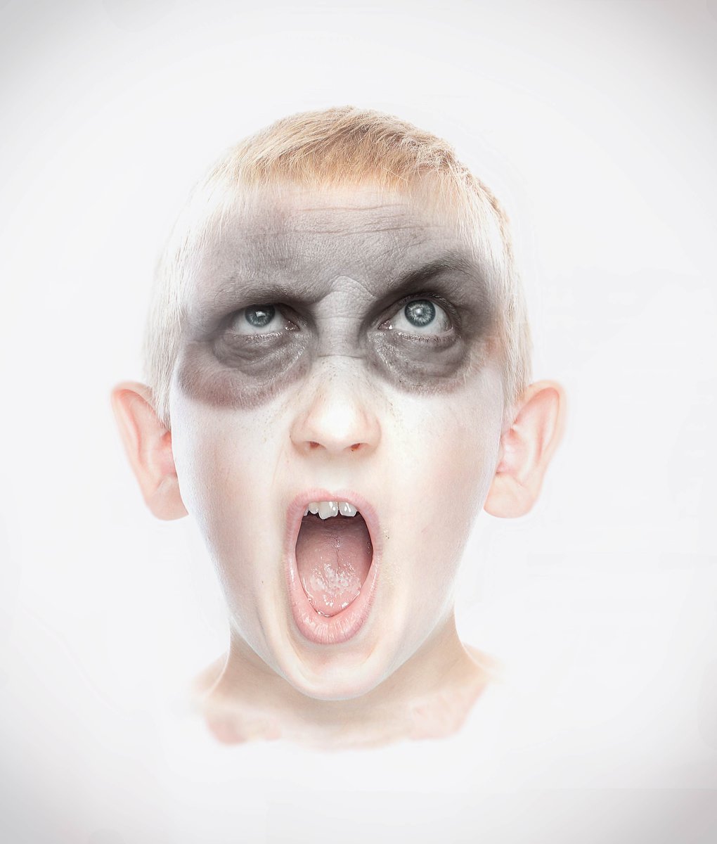Racoon Boy