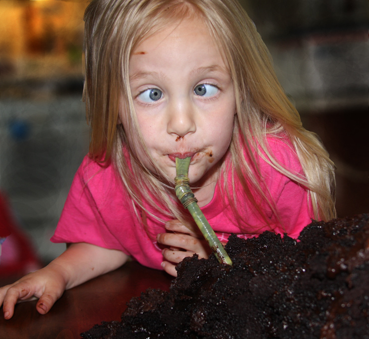 I Love the Chocolate Cake