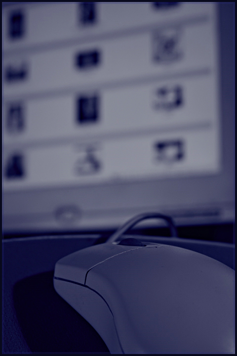Day-8_Mouse.jpg